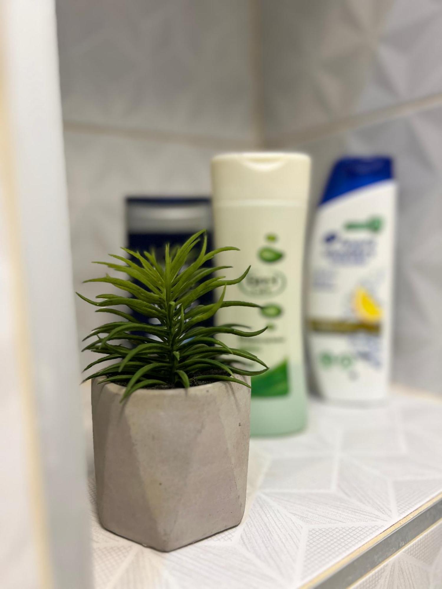 Bezdan Guesthouse 외부 사진