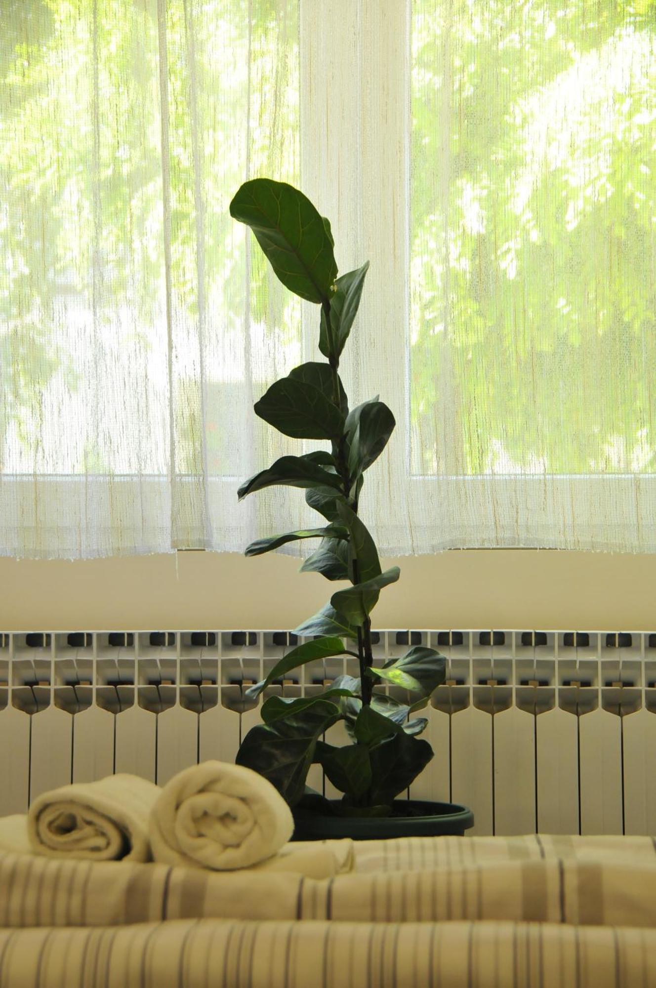 Bezdan Guesthouse 외부 사진