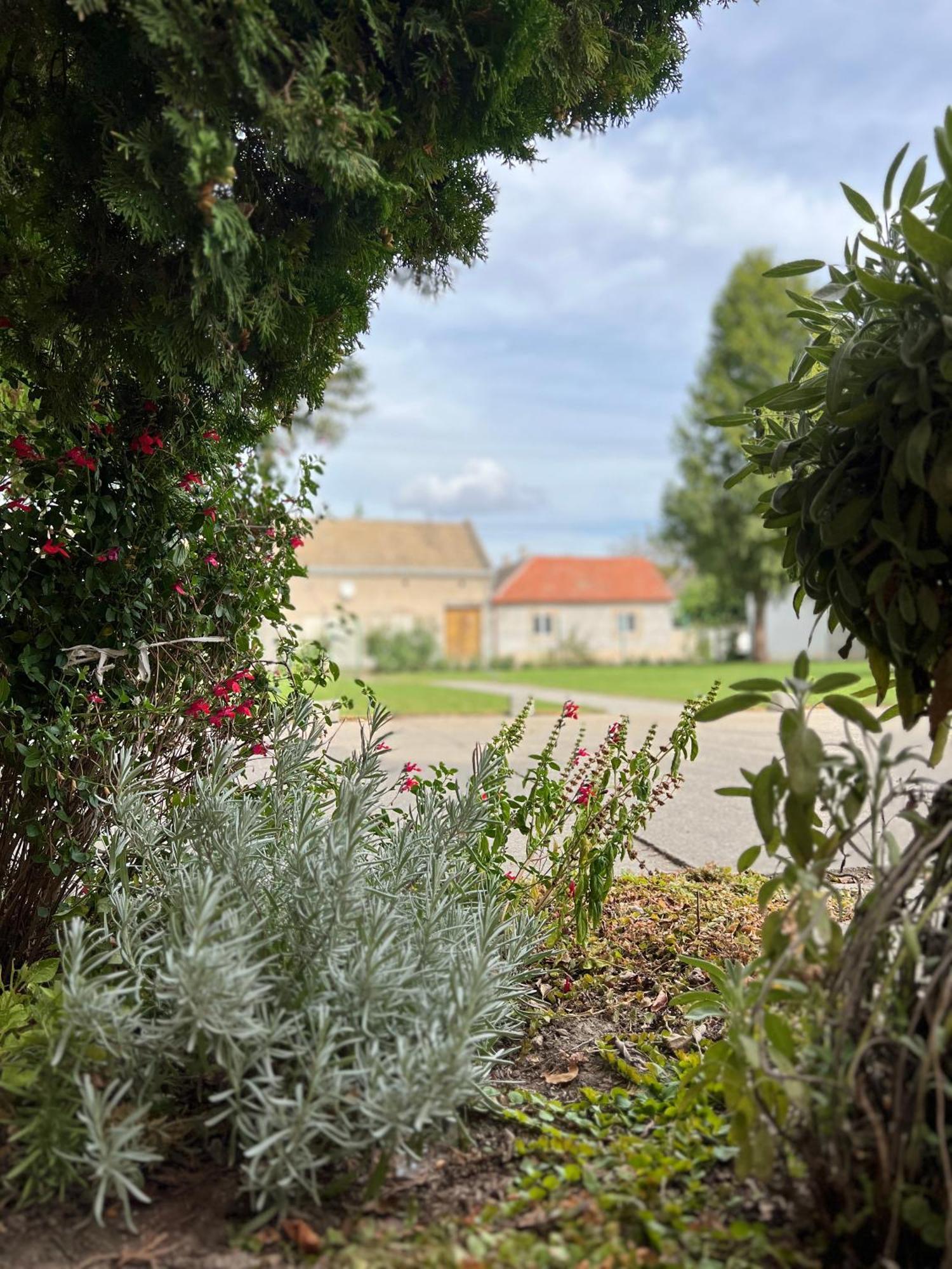 Bezdan Guesthouse 외부 사진